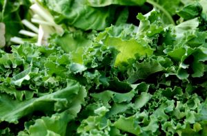 PHOTOS Wednesday Weight blog series - A healthy life - Fresh kale photo.jpg